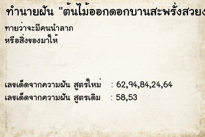 ทำนายฝัน ต้นไม้ออกดอกบานสะพรั่งสวยงามมาก ทำนายฝัน ต้นไม้ออกดอกบานสะพรั่งสวยงามมาก