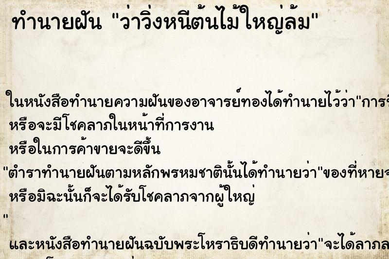 ทำนายฝันว่าวิ่งหนีต้นไม้ใหญ่ล้ม ทำนายฝันทำนายฝันว่าวิ่งหนีต้นไม้ใหญ่ล้ม