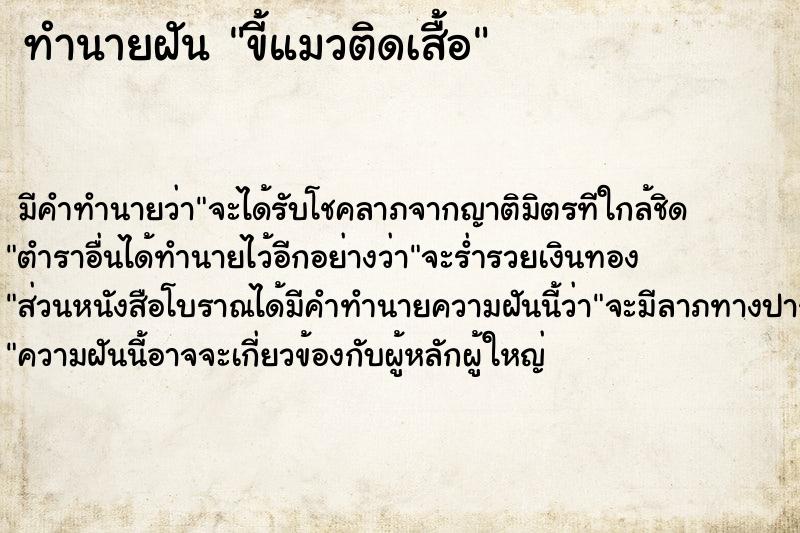 ทำนายฝัน ขี้แมวติดเสื้อ ทำนายฝัน ขี้แมวติดเสื้อ