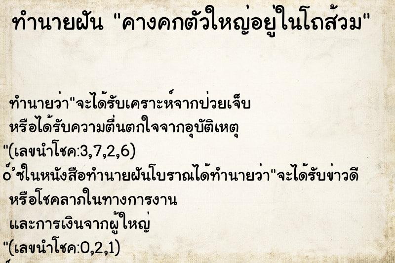 ทำนายฝัน คางคกตัวใหญ่อยู่ในโถส้วม