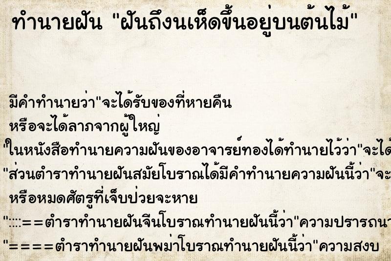 ทำนายฝันฝันถึงนเห็ดขึ้นอยู่บนต้นไม้ ทำนายฝันทำนายฝันฝันถึงนเห็ดขึ้นอยู่บนต้นไม้