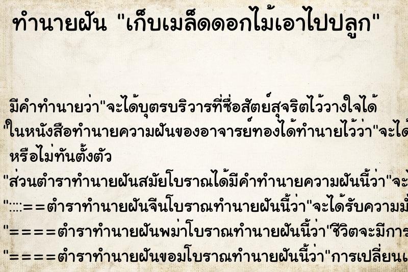 ทำนายฝัน เก็บเมล็ดดอกไม้เอาไปปลูก ทำนายฝัน เก็บเมล็ดดอกไม้เอาไปปลูก