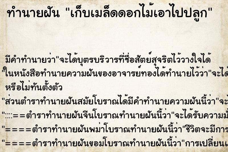 ทำนายฝัน เก็บเมล็ดดอกไม้เอาไปปลูก ตำราโบราณ แม่นที่สุดในโลก