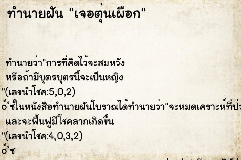 ทำนายฝัน เจอตุ่นเผือก ทำนายฝัน เจอตุ่นเผือก