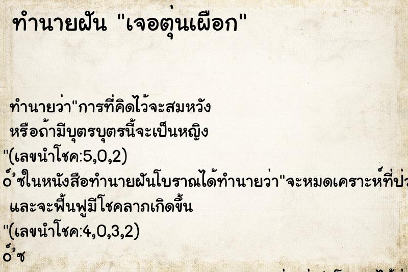 ทำนายฝัน เจอตุ่นเผือก ตำราโบราณ แม่นที่สุดในโลก