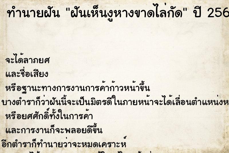 ทำนายฝันฝันเห็นงูหางขาดไล่กัด ทำนายฝันทำนายฝันฝันเห็นงูหางขาดไล่กัด