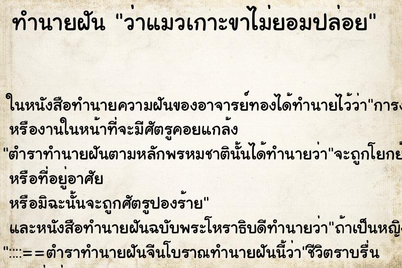 ทำนายฝัน ว่่าแมวเกาะขาไม่ยอมปล่อย ทำนายฝัน ว่่าแมวเกาะขาไม่ยอมปล่อย