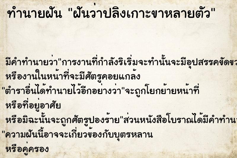 ทำนายฝัน ฝันว่าปลิงเกาะขาหลายตัว ทำนายฝัน ฝันว่าปลิงเกาะขาหลายตัว