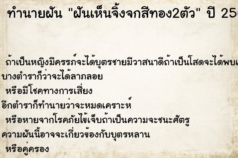 ทำนายฝันฝันเห็นจิ้งจกสีทอง2ตัว ทำนายฝันทำนายฝันฝันเห็นจิ้งจกสีทอง2ตัว