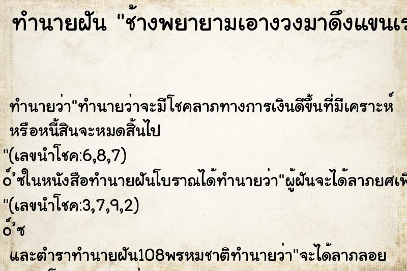 ทำนายฝันช้างพยายามเอางวงมาดึงแขนเรา ทำนายฝันทำนายฝันช้างพยายามเอางวงมาดึงแขนเรา