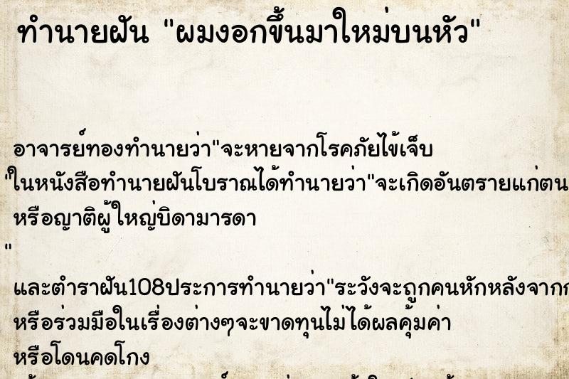 ทำนายฝัน ผมงอกขึ้นมาใหม่บนหัว ทำนายฝัน ผมงอกขึ้นมาใหม่บนหัว