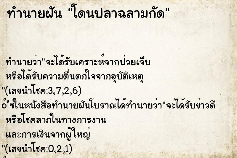 ทำนายฝัน โดนปลาฉลามกัด ทำนายฝัน โดนปลาฉลามกัด