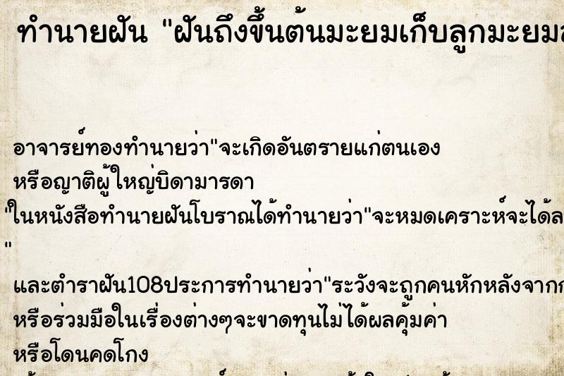 ทำนายฝันฝันถึงขึ้นต้นมะยมเก็บลูกมะยมลูกใหญ่กินฝันวันที่31357 ทำนายฝันทำนายฝันฝันถึงขึ้นต้นมะยมเก็บลูกมะยมลูกใหญ่กินฝันวันที่31357