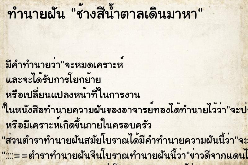 ทำนายฝัน ช้างสีน้ำตาลเดินมาหา ตำราโบราณ แม่นที่สุดในโลก