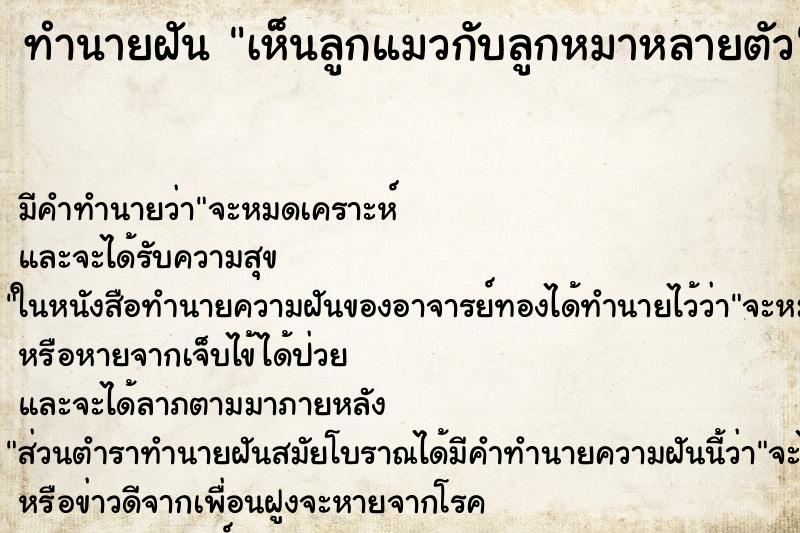 ทำนายฝัน เห็นลูกแมวกับลูกหมาหลายตัว ทำนายฝัน เห็นลูกแมวกับลูกหมาหลายตัว