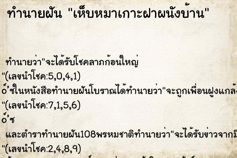 ทำนายฝัน เห็บหมาเกาะฝาผนังบ้าน ตำราโบราณ แม่นที่สุดในโลก