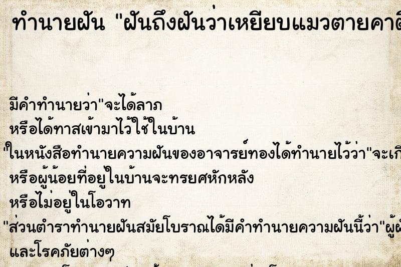 ทำนายฝันฝันถึงฝันว่าเหยียบแมวตายคาตีน ทำนายฝันทำนายฝันฝันถึงฝันว่าเหยียบแมวตายคาตีน