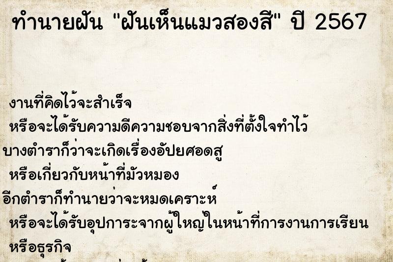 ทำนายฝันฝันเห็นแมวสองสี ทำนายฝันทำนายฝันฝันเห็นแมวสองสี