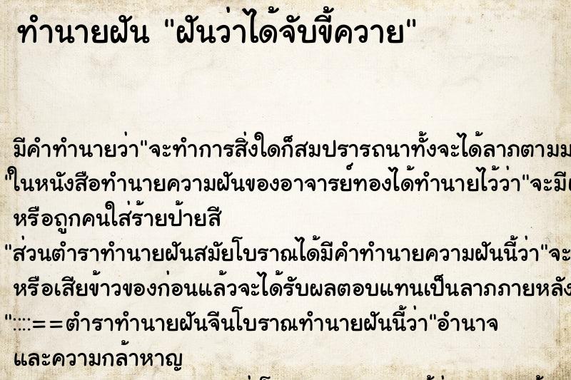 ทำนายฝัน ฝันว่าได้จับขี้ควาย ทำนายฝัน ฝันว่าได้จับขี้ควาย