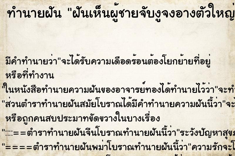 ทำนายฝัน ฝันเห็นผู้ชายจับงูจงอางตัวใหญ่ ทำนายฝัน ฝันเห็นผู้ชายจับงูจงอางตัวใหญ่