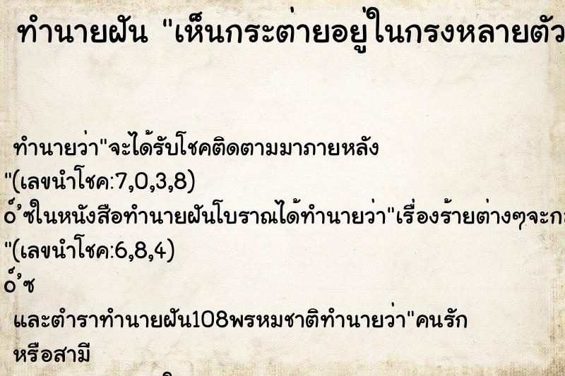 ทำนายฝันเห็นกระต่ายอยู่ในกรงหลายตัว ทำนายฝันทำนายฝันเห็นกระต่ายอยู่ในกรงหลายตัว