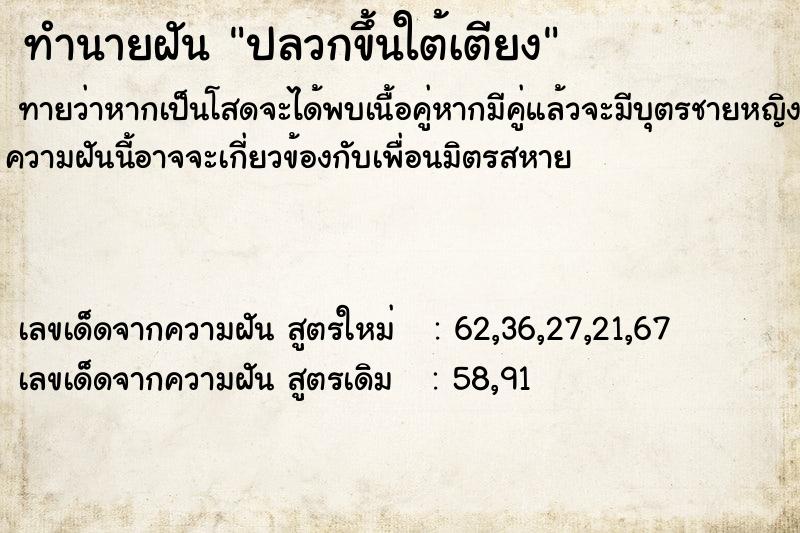 ทำนายฝันทำนายฝันปลวกขึ้นใต้เตียง