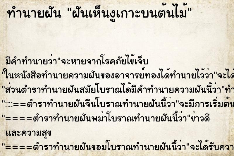 ทำนายฝันฝันเห็นงูเกาะบนต้นไม้ ทำนายฝันทำนายฝันฝันเห็นงูเกาะบนต้นไม้