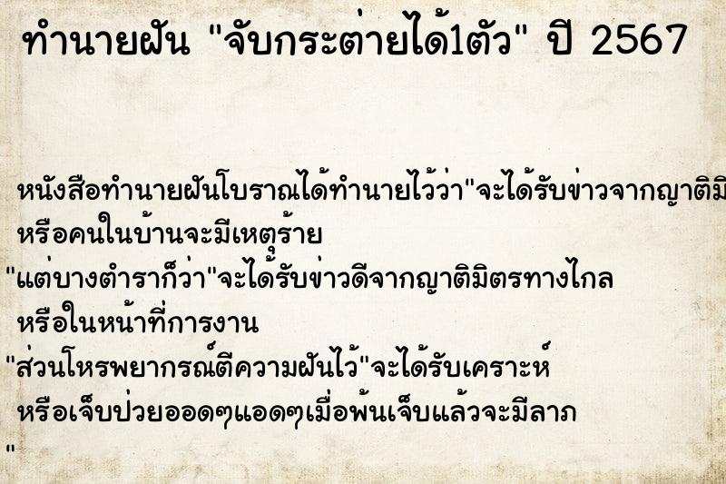 ทำนายฝันจับกระต่ายได้1ตัว ทำนายฝันทำนายฝันจับกระต่ายได้1ตัว