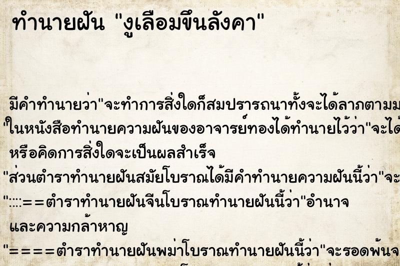 ทำนายฝันงูเลือมขึนลังคา ทำนายฝันทำนายฝันงูเลือมขึนลังคา