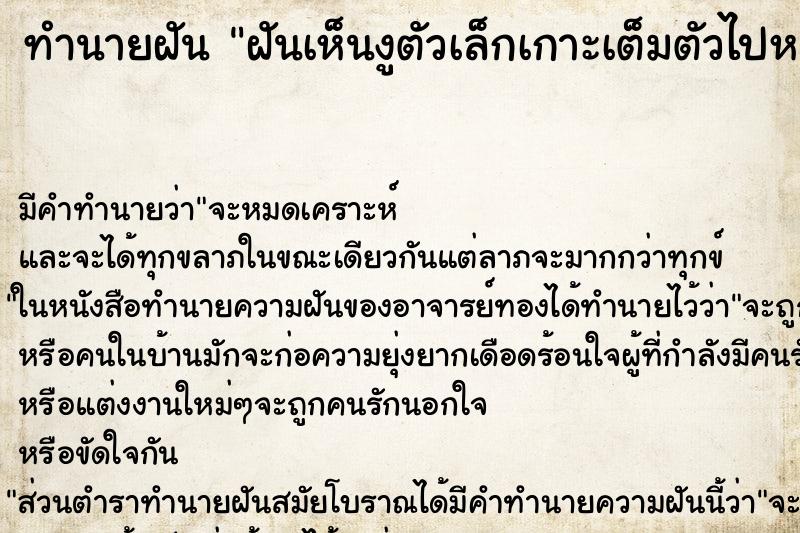 ทำนายฝันทำนายฝันฝันเห็นงูตัวเล็กเกาะเต็มตัวไปหมด