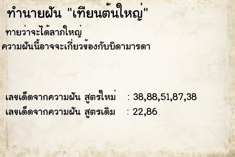 ทำนายฝัน เทียนต้นใหญ่ ทำนายฝัน เทียนต้นใหญ่
