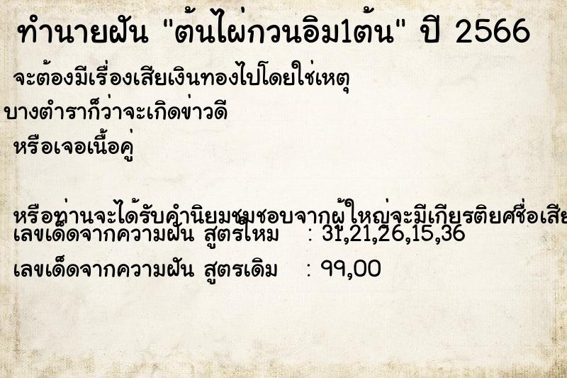 ทำนายฝัน ต้นไผ่กวนอิม1ต้น ทำนายฝัน ต้นไผ่กวนอิม1ต้น