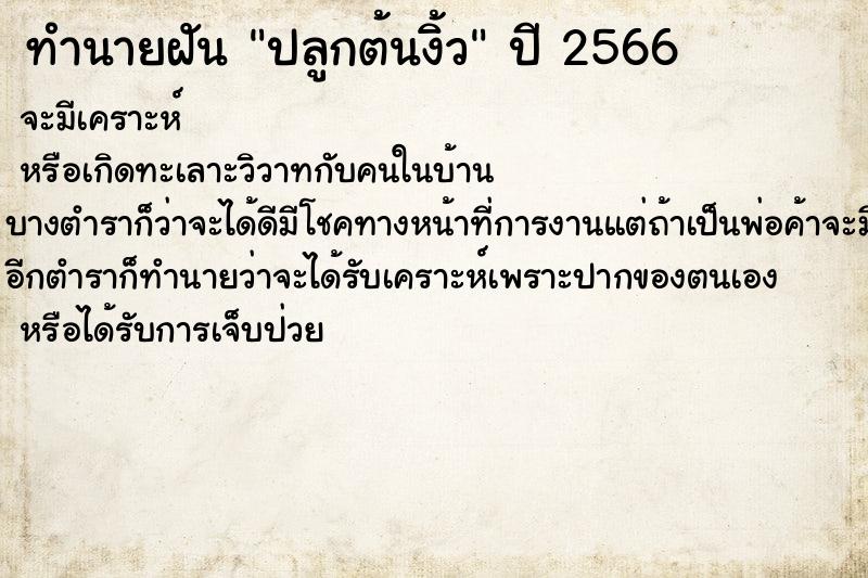 ทำนายฝันทำนายฝันปลูกต้นงิ้ว