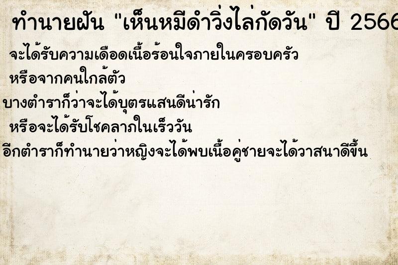 ทำนายฝันทำนายฝันเห็นหมีดำวิ่งไล่กัดวัน