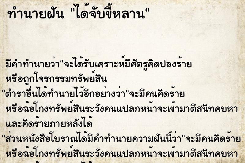 ทำนายฝัน ได้จับขี้หลาน ทำนายฝัน ได้จับขี้หลาน