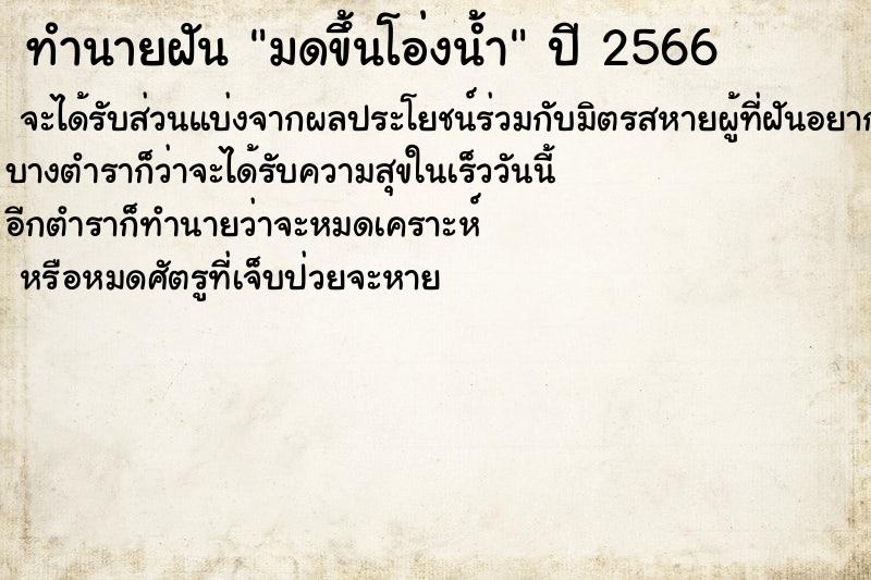 ทำนายฝันทำนายฝันมดขึ้นโอ่งน้ำ