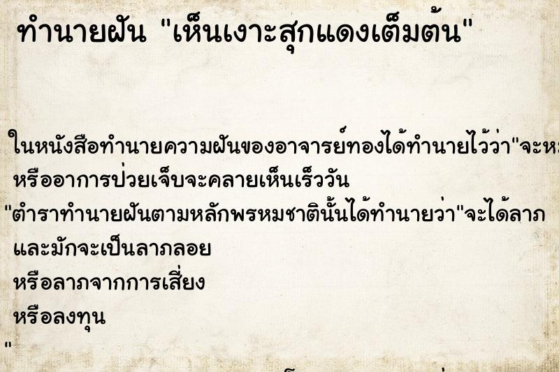 ทำนายฝันเห็นเงาะสุกแดงเต็มต้น ทำนายฝันทำนายฝันเห็นเงาะสุกแดงเต็มต้น