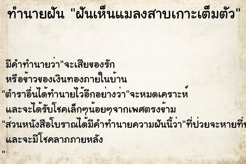 ทำนายฝันฝันเห็นแมลงสาบเกาะเต็มตัว ทำนายฝันทำนายฝันฝันเห็นแมลงสาบเกาะเต็มตัว