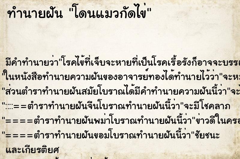ทำนายฝัน โดนแมวกัดไข่