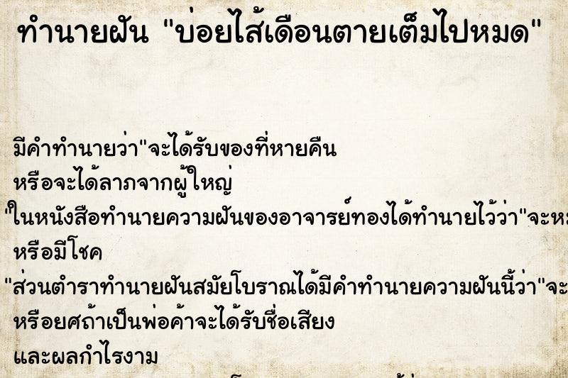 ทำนายฝันบ่อยไส้เดือนตายเต็มไปหมด ทำนายฝันทำนายฝันบ่อยไส้เดือนตายเต็มไปหมด