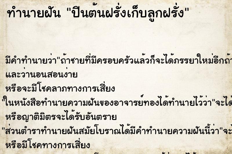 ทำนายฝันปีนต้นฝรั่งเก็บลูกฝรั่ง ทำนายฝันทำนายฝันปีนต้นฝรั่งเก็บลูกฝรั่ง
