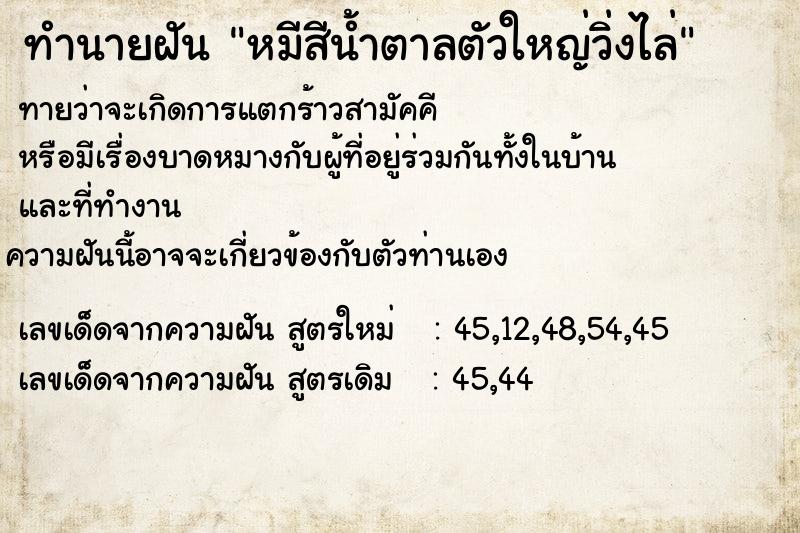 ทำนายฝัน หมีสีน้ำตาลตัวใหญ่วิ่งไล่ ทำนายฝัน หมีสีน้ำตาลตัวใหญ่วิ่งไล่