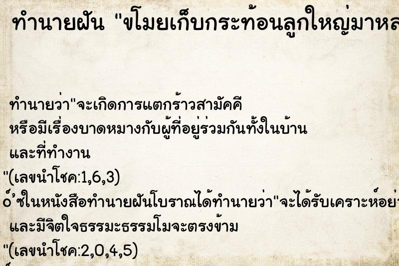 ทำนายฝัน ขโมยเก็บกระท้อนลูกใหญ่มาหลายลูก