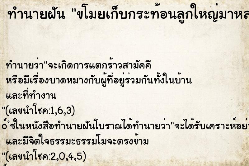 ทำนายฝัน ขโมยเก็บกระท้อนลูกใหญ่มาหลายลูก ตำราโบราณ แม่นที่สุดในโลก