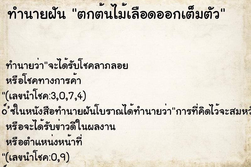 ทำนายฝัน ตกต้นไม้เลือดออกเต็มตัว ทำนายฝัน ตกต้นไม้เลือดออกเต็มตัว