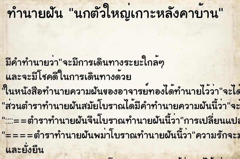 ทำนายฝันนกตัวใหญ่เกาะหลังคาบ้าน ทำนายฝันทำนายฝันนกตัวใหญ่เกาะหลังคาบ้าน