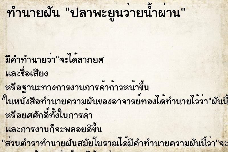 ทำนายฝัน ปลาพะยูนว่ายน้ำผ่าน ทำนายฝัน ปลาพะยูนว่ายน้ำผ่าน
