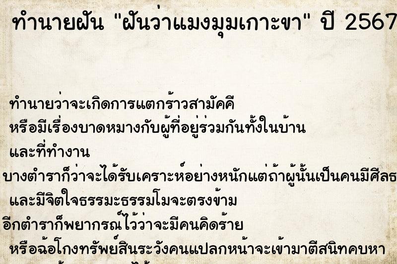 ทำนายฝันฝันว่าแมงมุมเกาะขา ทำนายฝันทำนายฝันฝันว่าแมงมุมเกาะขา