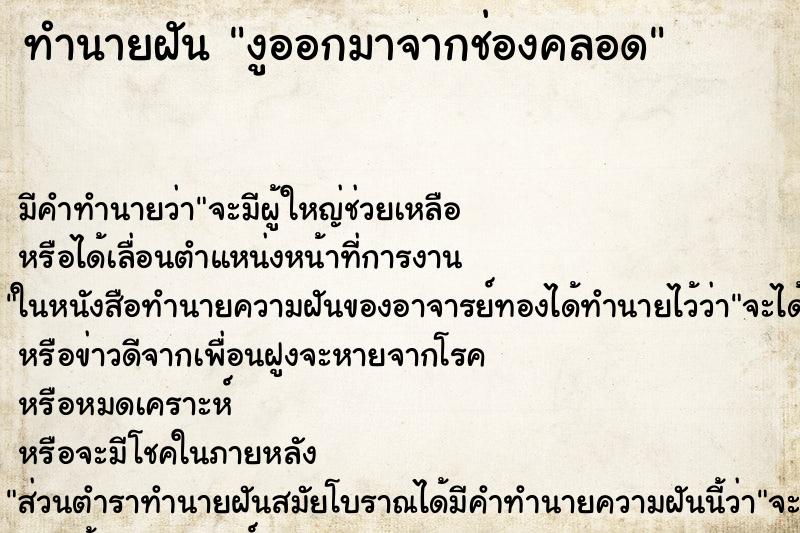 ทำนายฝัน งูออกมาจากช่องคลอด ทำนายฝัน งูออกมาจากช่องคลอด