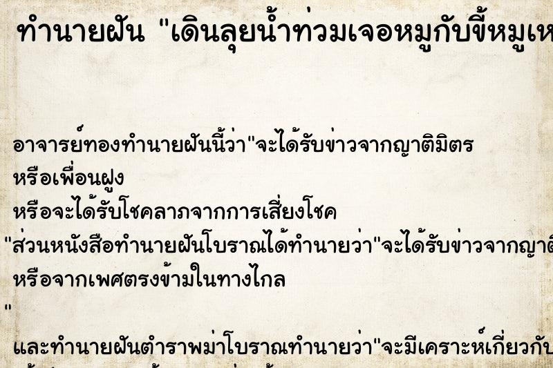 ทำนายฝันเดินลุยน้ำท่วมเจอหมูกับขี้หมูเหม็นมาก ทำนายฝันทำนายฝันเดินลุยน้ำท่วมเจอหมูกับขี้หมูเหม็นมาก